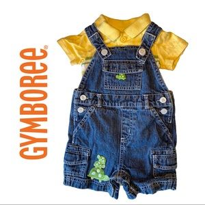 Gymboree Turtle Overall Outfit